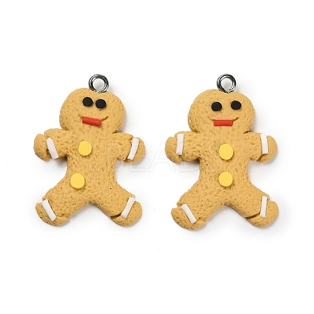 Handmade Polymer Clay Pendants CLAY-I015-01A-1