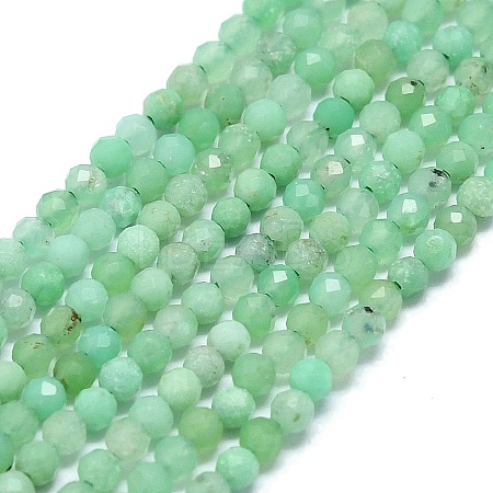 Natural Chrysoprase Beads Strands G-G106-C01-01-1