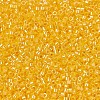MIYUKI Delica Beads SEED-MY11-DB1562-3