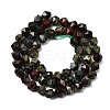 Natural Dragon Blood Beads Strands G-Z119-A17-01-4