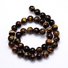 Natural Grade AB Tiger Eye Round Beads Strands G-O047-02-12mm-3