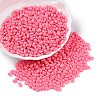 Baking Paint Glass Seed Beads SEED-T006-03P-3