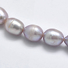 Natural Cultured Freshwater Pearl Beads Strands PEAR-K003-26A-3