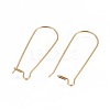 Ion Plating(IP) 304 Stainless Steel Hoop Earrings Findings Kidney Ear Wires X-STAS-L216-22A-G-2