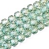 Baking Paint Transparent Glass Beads Strands DGLA-A035-T8mm-A11-1