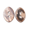 2-Hole Dyed Natural Shell Buttons BSHE-G029-16-2