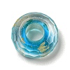 Glass European Beads GLAA-XCP0001-38-2