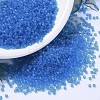 MIYUKI Delica Beads SEED-MY11-DB1318-1