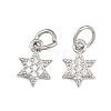 Brass Micro Pave Cubic Zirconia Pendants ZIRC-K070-41P-1