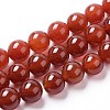 Natural Agate Beads Strands G-I261-B01-12mm-1