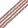 Iron Twisted Chains CH-TM0.5-R-1
