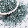 Cylinder Seed Beads X-SEED-H001-G08-1