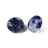 Natural Blue Spot Jasper European Beads G-Q602-04L-2