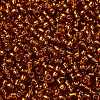 TOHO 8/0 Round Beads SEED-TR08-2208-2