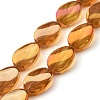Transparent Electroplate Glass Bead Strands EGLA-C001-FR05-1