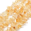 Natural Citrine Beads Strands G-K220-05-1