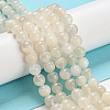 Natural White Moonstone Beads Strands G-F306-05AB-6mm-01-5