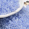 Ceylon Glass Seed Beads SEED-K009-02B-31-1