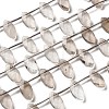 Natural Smoky Quartz Beads Strands G-P607-A10-01-2