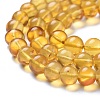 Natural Amber Beads Strands G-K308-C02-6mm-2