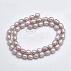 Natural Cultured Freshwater Pearl Beads Strands PEAR-F007-71B-2