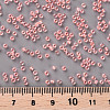 11/0 FGB Grade A Transparent Glass Seed Beads X-SEED-N001-F-233-3