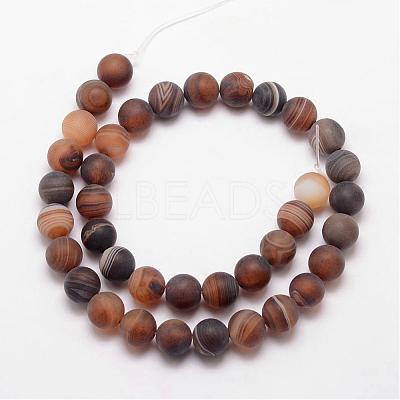 Natural Striped Agate/Banded Agate Bead Strands G-K166-12-10mm-04-1