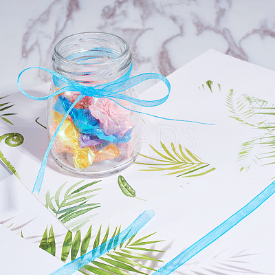 Organza Ribbon RS6mmY012-1