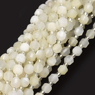 Grade A Natural White Moonstone Beads Strands G-O201B-40-1