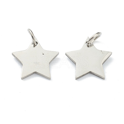 Tarnish Resistant (Defective Closeout Sale: Scratches)304 Stainless Steel Charms STAS-XCP0001-34-1