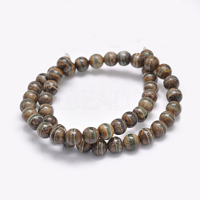 Natural Tibetan Striped Pattern dZi Agate Beads Strands G-F354-13-1
