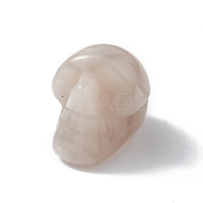 Natural Crazy Agate Display Decoration G-C022-01G-1