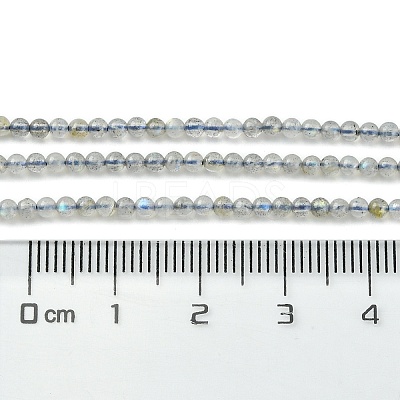 Natural Labradorite Beads Strands G-Z034-B04-01-1