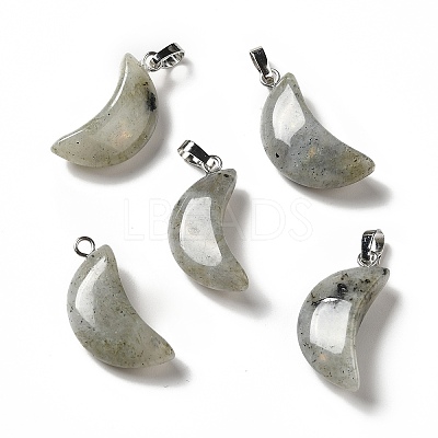 Natural Labradorite Pendants G-Z022-05C-1
