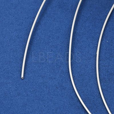 925 Sterling Silver Wire LS-FIND-Q117-01E-S-1