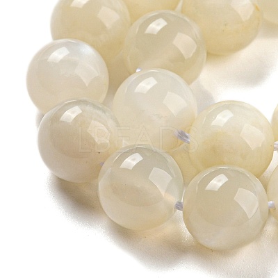 Natural White Moonstone Beads Strands G-F306-05AB-10mm-01-1