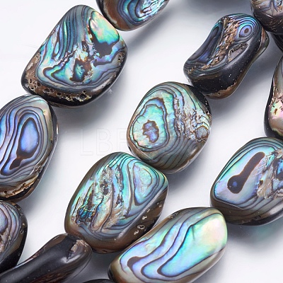 Natural Abalone Shell/Paua Shell Beads Strands SSHEL-P014-04-1