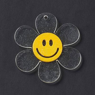 Transparent Acrylic Big Pendants OACR-P012-A06-1
