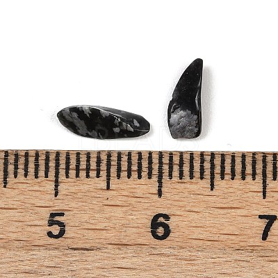 Natural Snowflake Obsidian Beads G-U032-A08-1
