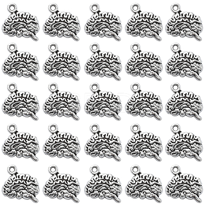 100Pcs Tibetan Style Alloy Charms FIND-SC0005-72-1