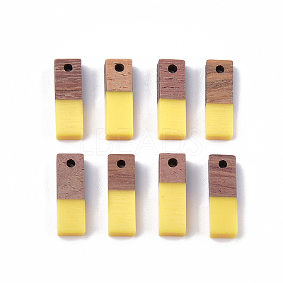 Resin & Wood Pendants X-RESI-S358-19A-1