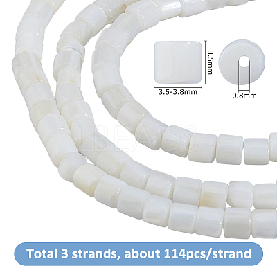 3 Strands Natural Freshwater Shell Beads Strands SHEL-HS0001-16-1
