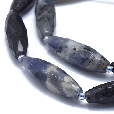 Natural Iolite Beads Strands G-O179-G22-1