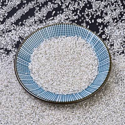 MIYUKI Delica Beads SEED-JP0008-DB0221-1