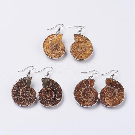 Fossil Spiral Dangle Earrings EJEW-P153-01-1