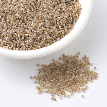 MIYUKI Delica Beads SEED-X0054-DB1731-1