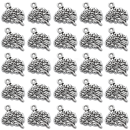 SUNNYCLUE 100Pcs Tibetan Style Alloy Charms FIND-SC0005-72-1