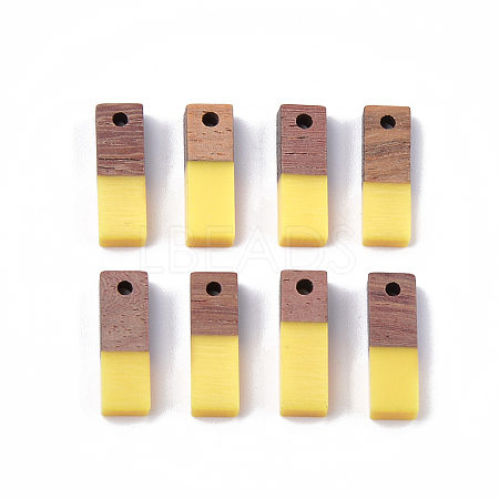 Resin & Wood Pendants X-RESI-S358-19A-1