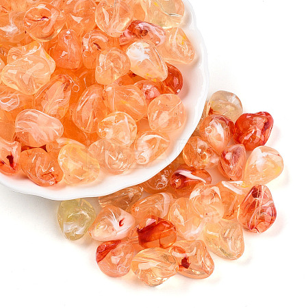 Transparent Acrylic Beads TACR-T028-44E-1