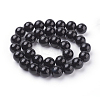 Natural Obsidian Beads Strands LS-G-G099-12mm-24-2